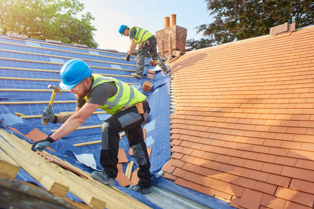 Best Metal Roofing Installation  in Acushnet Center, MA